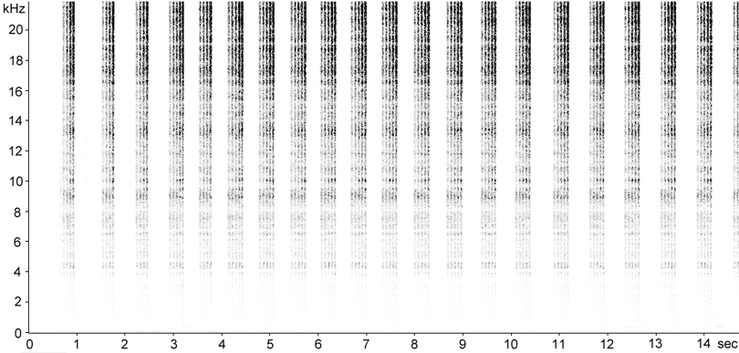 Sonogram of Grey Bush-cricket stridulation [greybushcricket117402capcut]