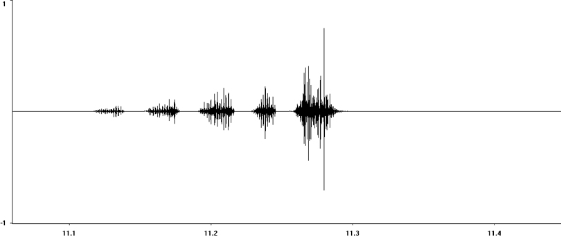 Oscillogram of Grey Bush-cricket stridulation [greybushcricket117399ecut]