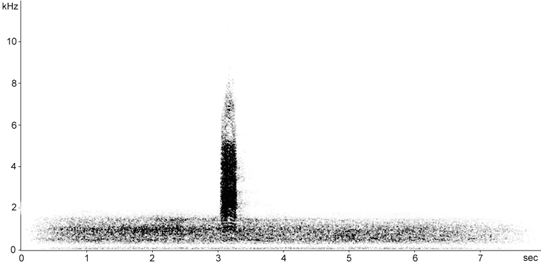 Sonogram of call from a Grey Heron in flight