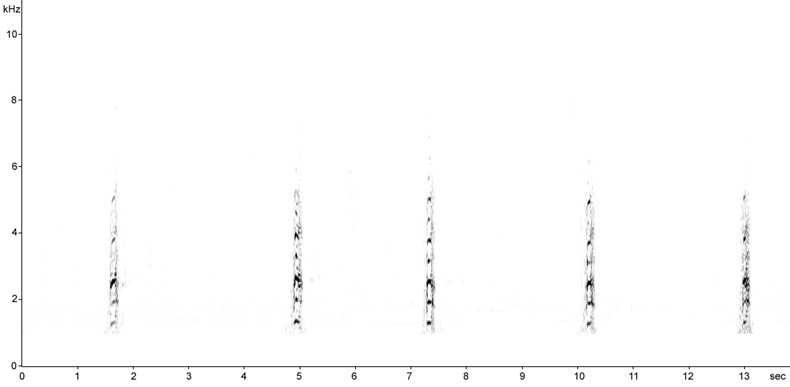Sonogram of Grey Heron calls