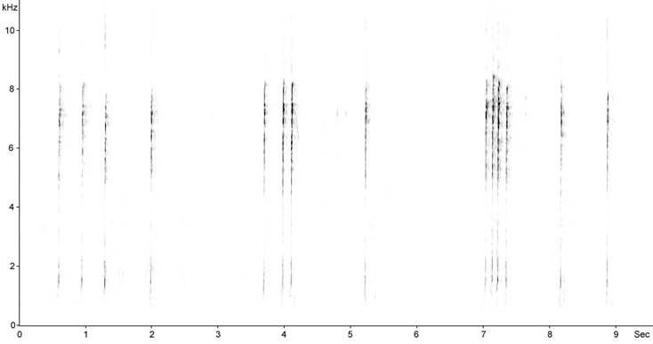 Sonogram of Hawfinch calls