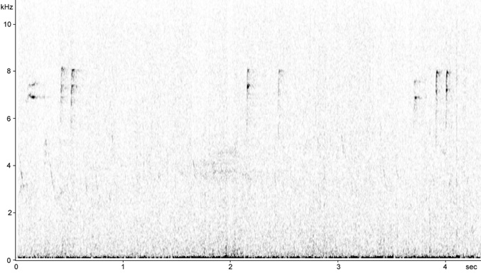 Sonogram of Hawfinch calls