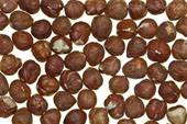 Hazelnuts