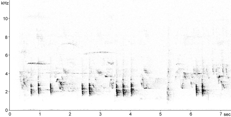 Sonogram of Hermit Thrush call