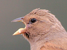 Spain Trip Reports