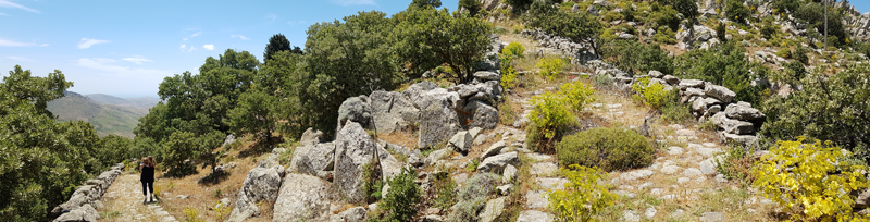 Rocky oak slopes around Ipsilou Monastery  Fraser Simpson    www.fssbirding.org.uk