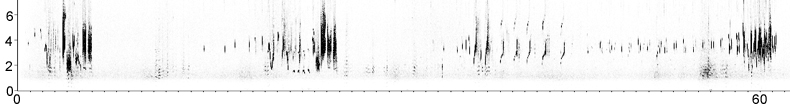 Sonogram of Isabelline Wheatear song