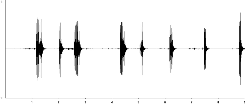 Oscillogram of Jamaican Field Cricket stridulation