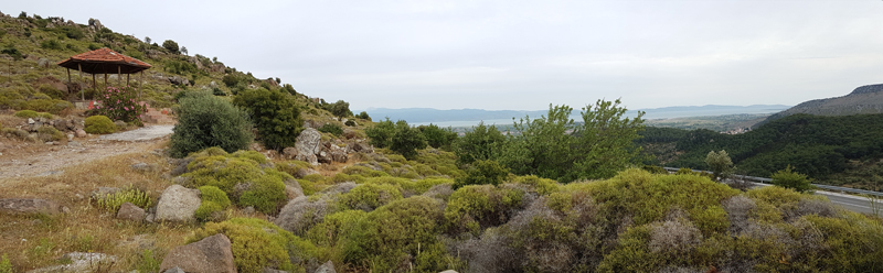 Kalloni Raptor Watch Point  Fraser Simpson    www.fssbirding.org.uk