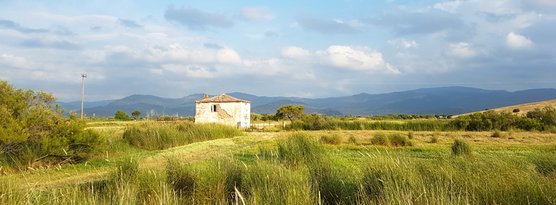 Kalloni Saltpans marshes  Fraser Simpson    www.fssbirding.org.uk