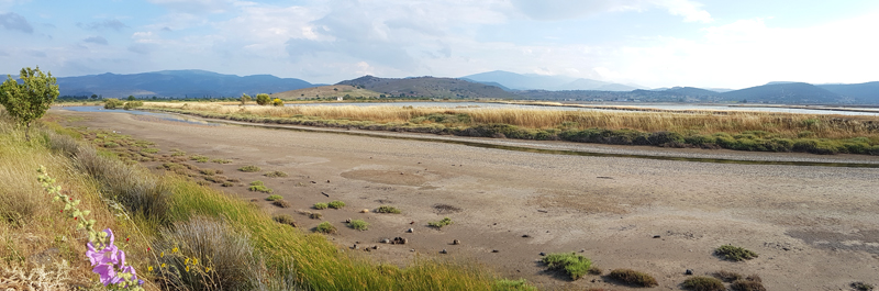 Kalloni Saltpans moat  Fraser Simpson    www.fssbirding.org.uk