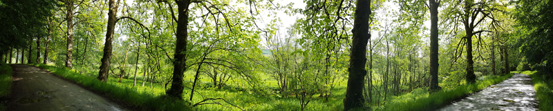 Track between field centre and curling pond  Fraser Simpson 