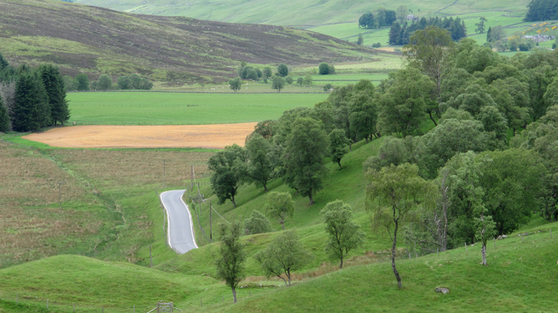 Eastern end of Glen Brerachan with birch slope, rush pasture and moorland  Fraser Simpson