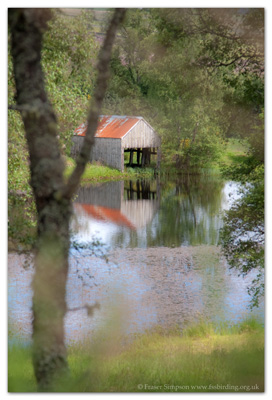 Mill Loch, Cateran Trail  Fraser Simpson 