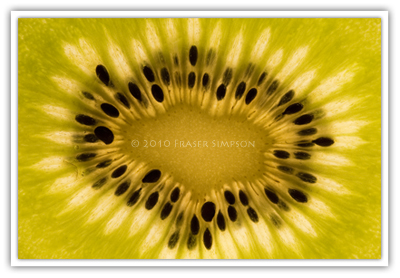 Kiwi Fruit Slice  2010 Fraser Simpson