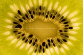 Kiwi Fruit Slice