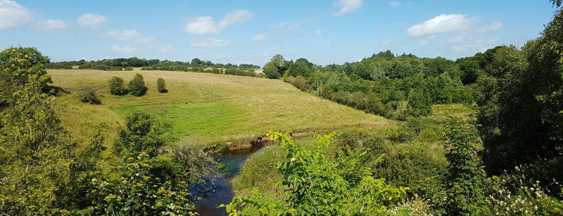 Point 1. View from bridge over Carmel Water: Warblers, Long-tailed Tit, Bullfinch, Great Spotted Woodpecker, Buzzard, Song Thrush, etc. (Knockentiber-Springside disused railway line) © Fraser Simpson
