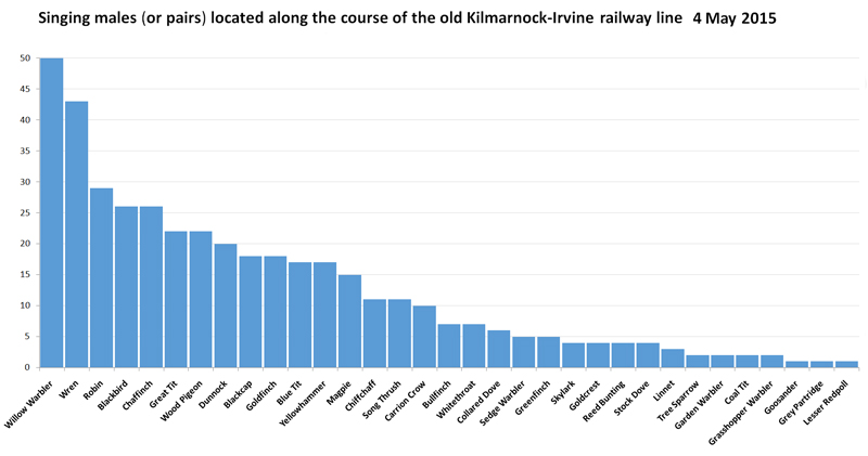 Singing males, Kilmarnock-Irvine disused railway line (NCR-73), Ayrshire  Fraser Simpson