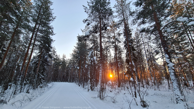 View from Rovaniemi Airport at sunset  Fraser Simpson 