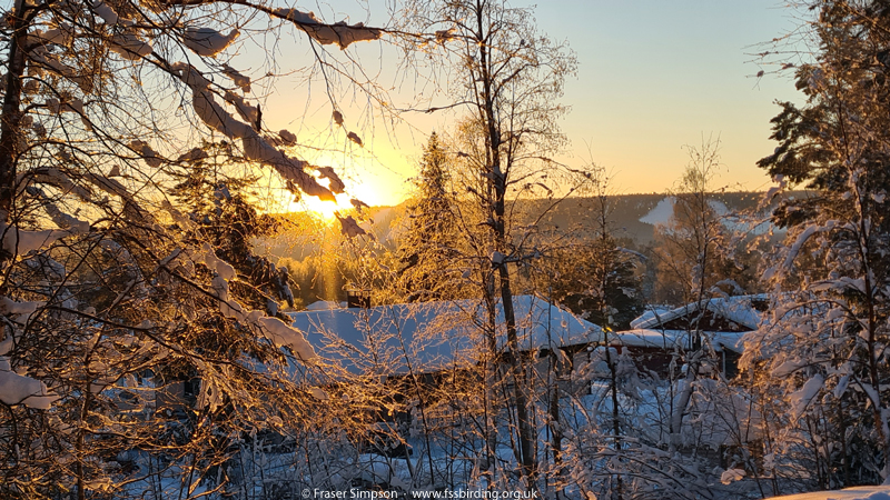 View from Rovaniemi Airport at sunset  Fraser Simpson 