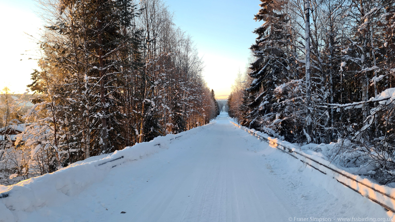 Road to Syvsenvaara, Rovaniemi  Fraser Simpson 