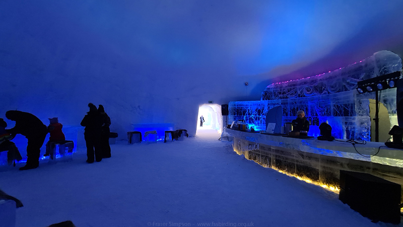 Ice bar, Snowman World, Rovaniemi  Fraser Simpson 