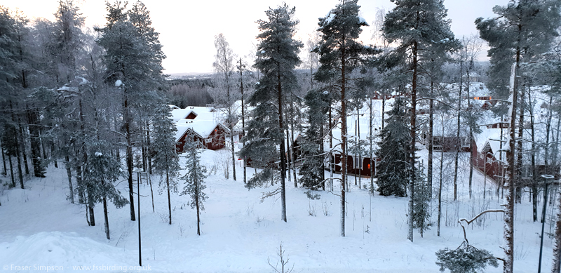 Cottages at Santa Claus Holiday Village, Rovaniemi  Fraser Simpson 