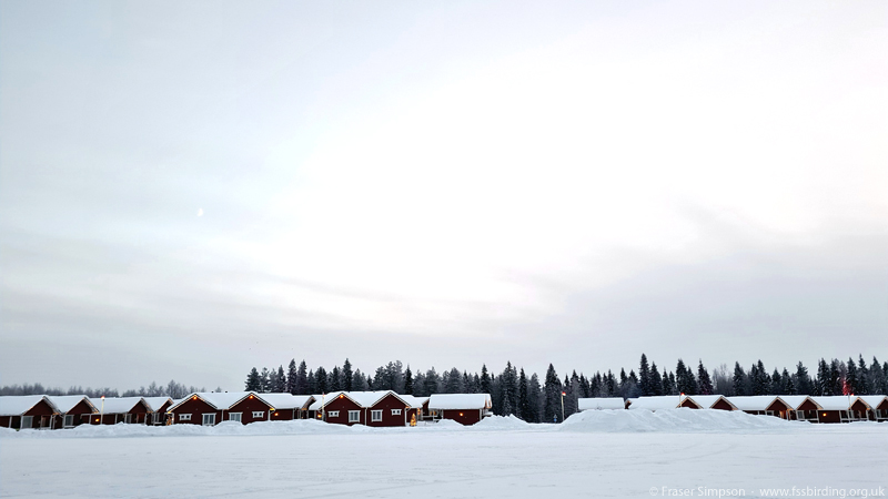 Cottages at Santa Claus Holiday Village, Rovaniemi  Fraser Simpson 