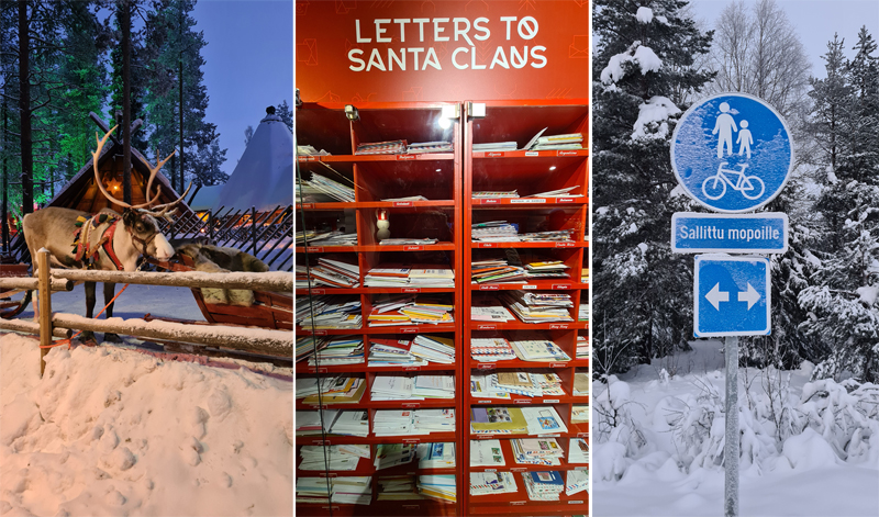 Reindeer (Rangifer tarandus), Santa's post office, Snowy footpath/cyclepath  Fraser Simpson 