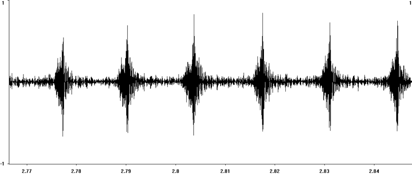 Oscillogram of Large Conehead (Ruspolia nitidula) stridulation [largeconehead112901ecut]