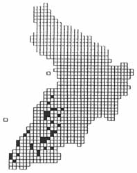 Small White distribution in Ayrshire