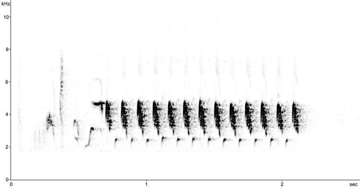 Sonogram of Lesser Whitethroat song