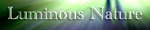 Luminous Nature Blog