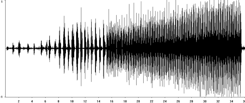 Oscillogram of Locomotive Grasshopper courtship stridulation