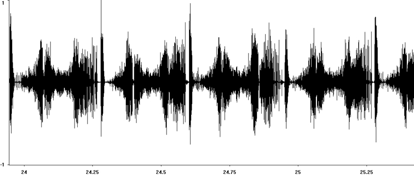 Oscillogram of Locomotive Grasshopper courtship stridulation