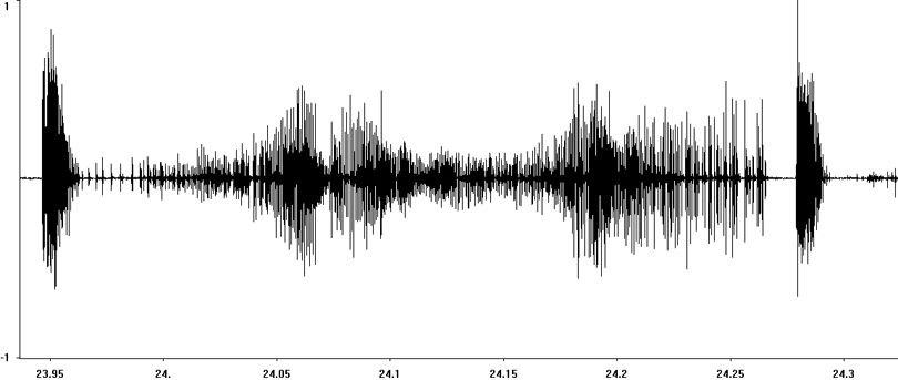 Oscillogram of Locomotive Grasshopper courtship stridulation