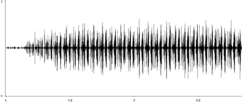 Oscillogram of Long-winged Cone-head stridulation
