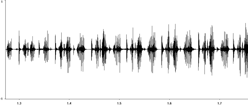 Oscillogram of Long-winged Cone-head stridulation