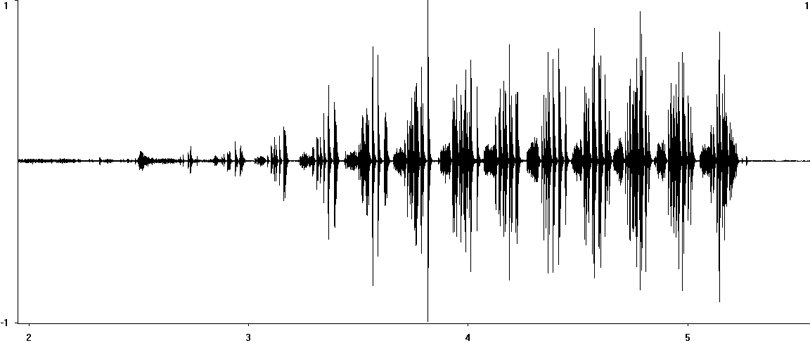 Oscillogram of Meadow Grasshopper stridulation [meadowgrasshopper117298capcut]