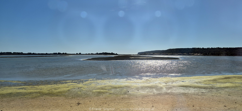 Coastal lagoon between Perpignan & Narbonne, France, April 2026 � Fraser Simpson