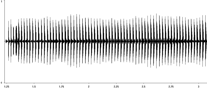 Oscillogram of Vineyard Mole-cricket (Gryllotalpa vineae) stridulation