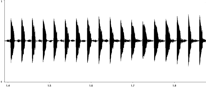 Oscillogram of Vineyard Mole-cricket (Gryllotalpa vineae) stridulation