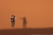 Desert Guide