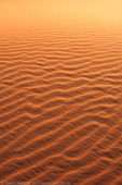 Dune ripples
