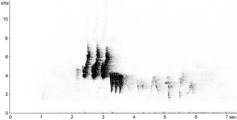 Sonogram of Mourning Warbler song