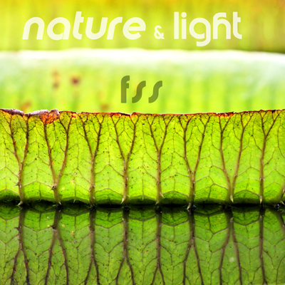 fss | nature & light