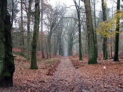National Park De Hoge Veluwe