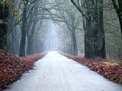 National Park De Hoge Veluwe