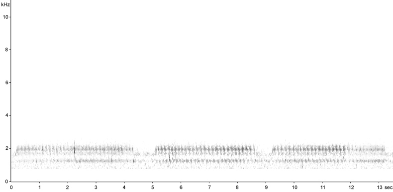 Sonogram of European Nightjar song