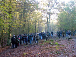 Northaw Great Wood 2005 Alistair Simpson